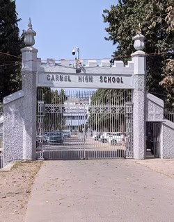 Mount Carmel High School